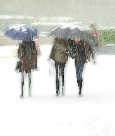 "Variations Neige" d'Adrienne Arth