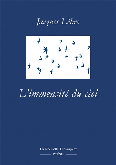 "L'immensit&eacute; du ciel" de Jacques L&egrave;bre