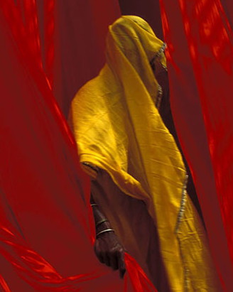 "Passion Couleur" de Xavier Zimbardo