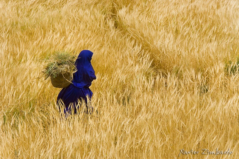 Vingt-et-uni&egrave;me Secousse (photo de Xavier Zimbardo)